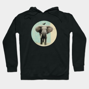 Elephant and a black bird Hoodie